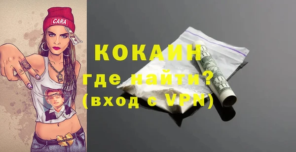 apvp Болотное