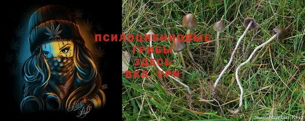 индика Наволоки