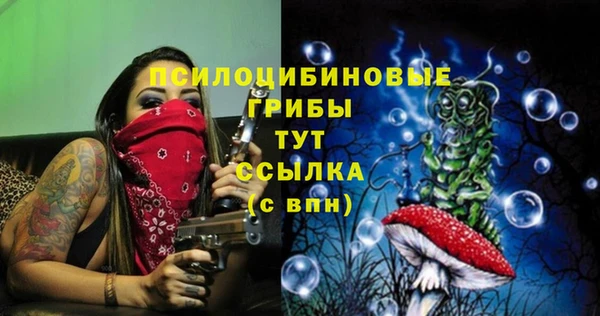 apvp Михайлов