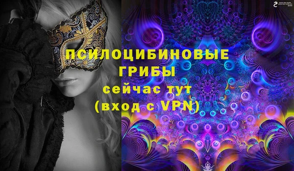 индика Наволоки