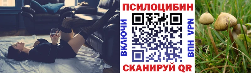 купить закладку  Тихвин  Псилоцибиновые грибы GOLDEN TEACHER 