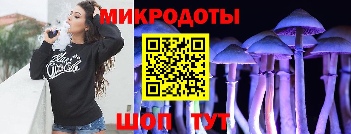 Галлюциногенные грибы Psilocybine cubensis  Тихвин  Галлюциногенные грибы Psilocybine cubensis 